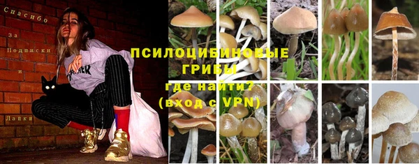 MDMA Premium VHQ Нефтекумск