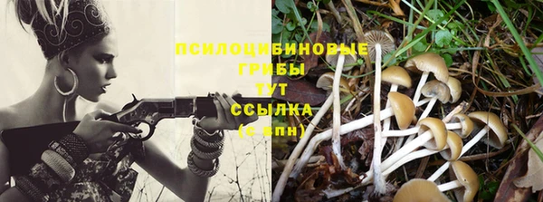 трава Нефтегорск